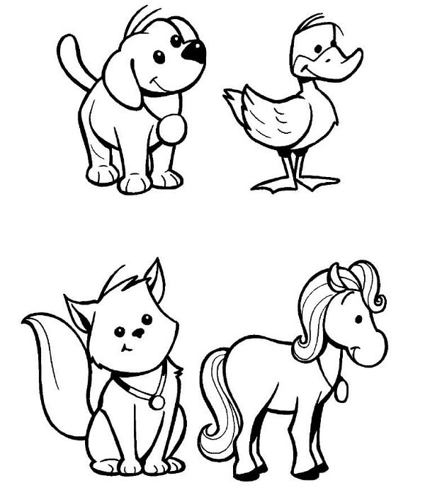 Dibujos para colorear de animales del campo - Imagui
